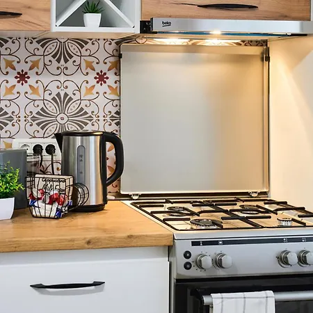 Lovley Daniel House By Open House * 蒂米什瓦拉