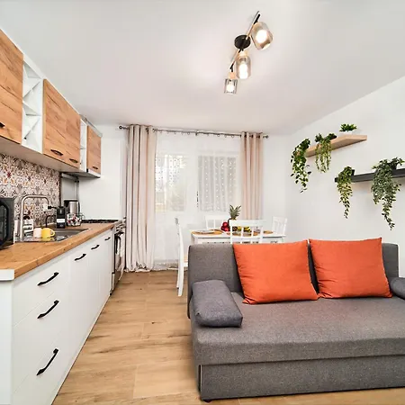 Lovley Daniel House By Open House * Τιμισοάρα