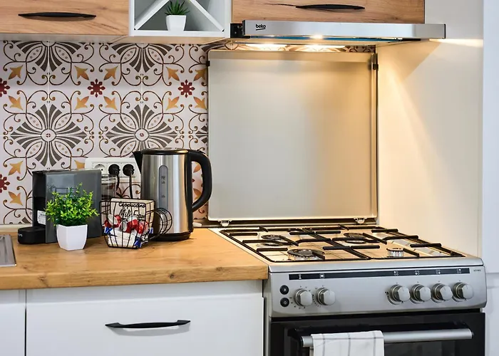 Lovley Daniel House By Open House * 蒂米什瓦拉