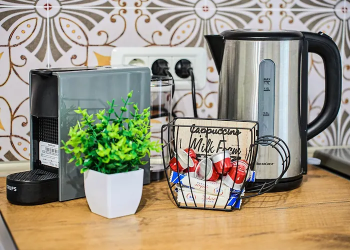 Lovley Daniel House By Open House 蒂米什瓦拉