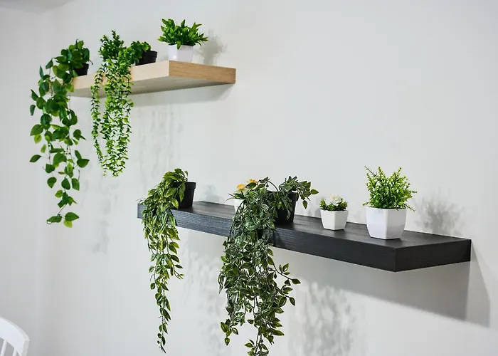 Lovley Daniel House By Open House 蒂米什瓦拉