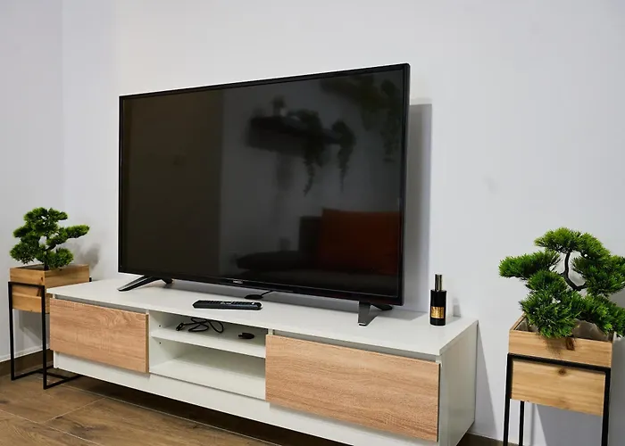 Lovley Daniel House By Open House Apartment Timişoara