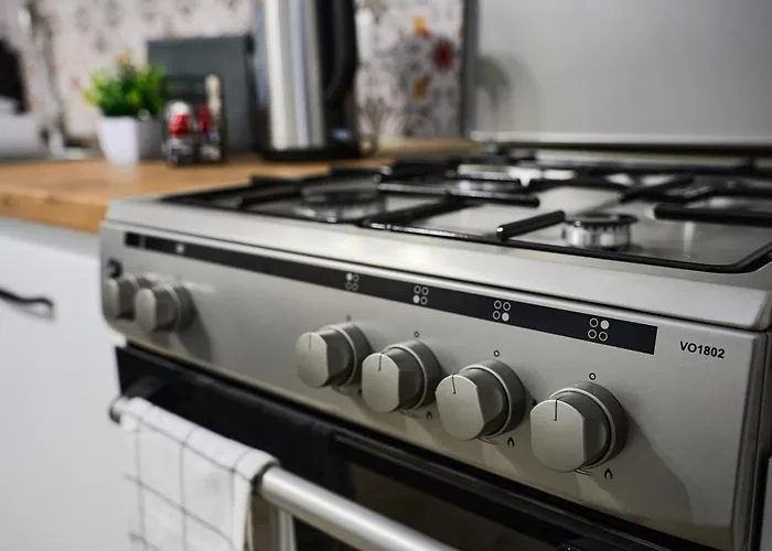 Lovley Daniel House By Open House Timişoara